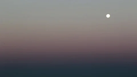 WS moon, sunrise sky, bird flying in Video stock 78008753