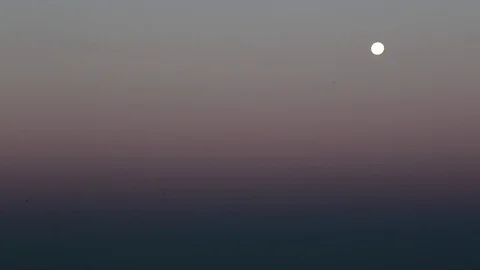 WS moon, sunrise sky, bird flying out Stock Footage 78008859