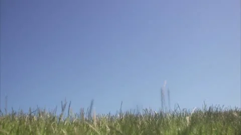 WS PAN Father with son flying kite in field Stock Footage 11346865