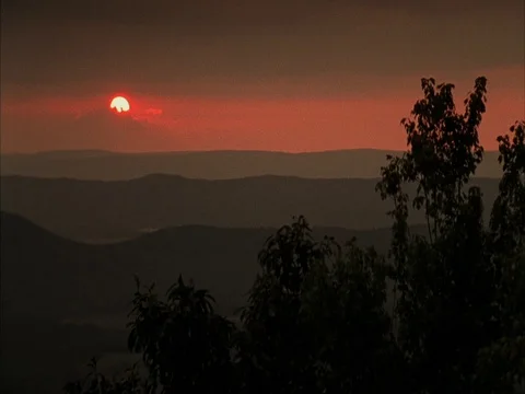 WS sun setting into orange to black ombre landscape with silhouettes of trees Stock Footage 86750786