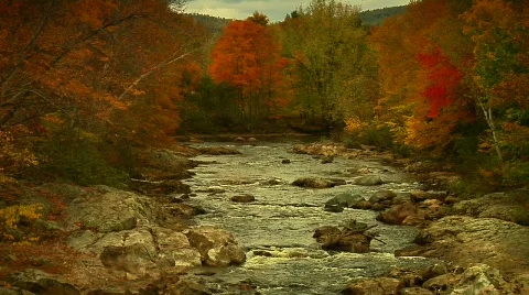 WS Swift River Fall Stock Footage 666576