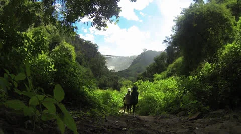WS walking down to "Boiling Point" Victoria falls Stock Footage 22878217
