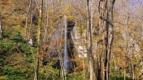 WS Waterfall and river in forest, Towada City, Aomori Prefecture Stock Footage 121846162