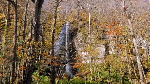 WS Waterfall and river in forest, Towada City, Aomori Prefecture Stock Footage 121846301