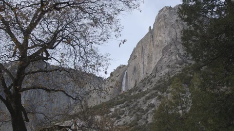 WS Yosemite Falls with Trees Stock Footage 122401280