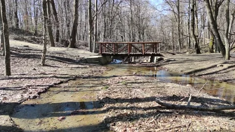 Wsmall river at Vitosha Mountain, Sofia City region, Bulgaria Video stock 149708949