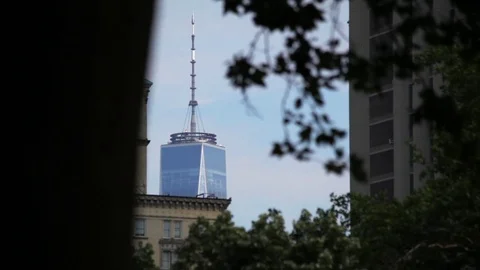 WTC Through Trees Video stock 78633990