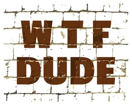WTF Dude printed on stylized brick wall. Textured humorous inscription. Vecto Stock-Illustration