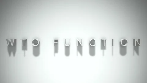 Wto function 3D title animation white text on a white background Video stock 298899477