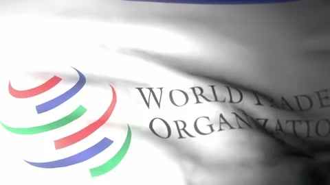 WTO1  3840x2160UHD Video stock 223852848