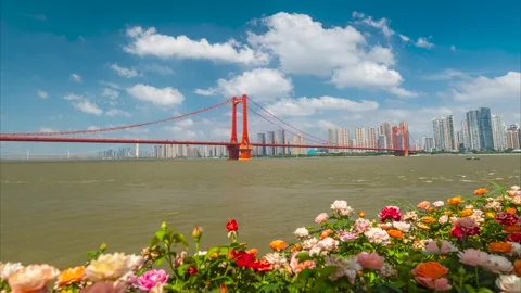 Wuhan summer cityscape, landmarks, and skyline Stock Footage 342088198