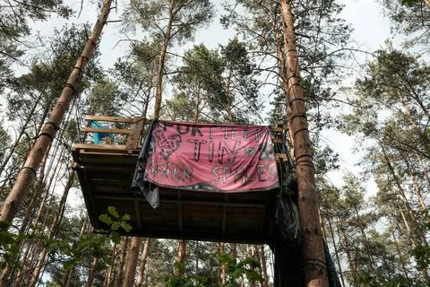 Wuhlheide besetzt: Waldrodung soll verhindert werden Am 16.05.2023 bauten ... Stock Photos