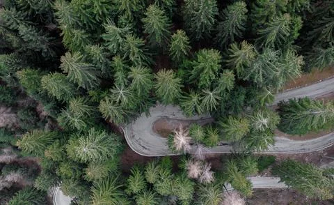 Wunderschne Bergstrae / Serpentinen durch einen Wald. Kurvige Strae am Berg.. Stock Photos