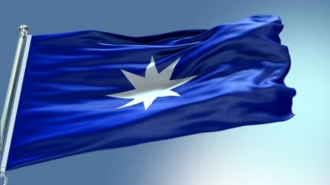 Wuñelfe Mapuche Flag Vidéo 172591865