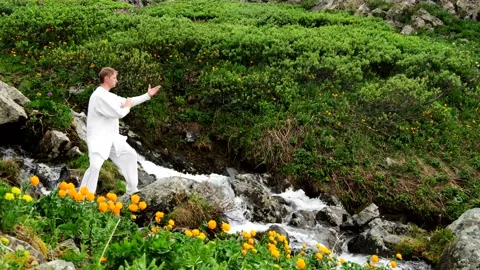 Wushu master trains maritial arts in nature Stock Footage 218018336