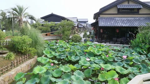 Wuxi garden 库存影片 104687431