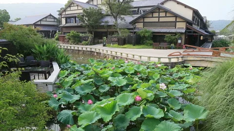 Wuxi garden 库存影片 104687502