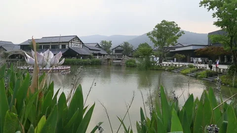 Wuxi garden 库存影片 104687906