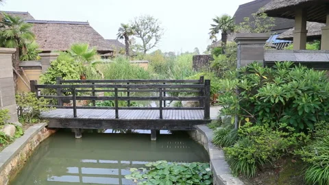 Wuxi garden 库存影片 104687984