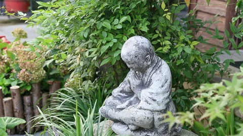 Wuxi garden Vídeo Stock 104688159