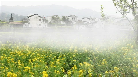 Wuyuan Stock Footage 684399