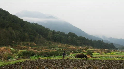 Wuyuan Vidéo 684827