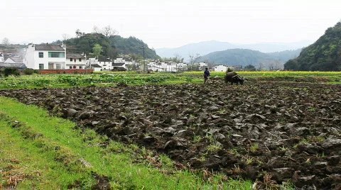Wuyuan Stock Footage 684829