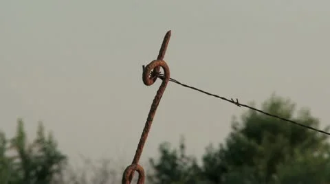 WW1 barbed wire entrenchment Stock Footage 11830003