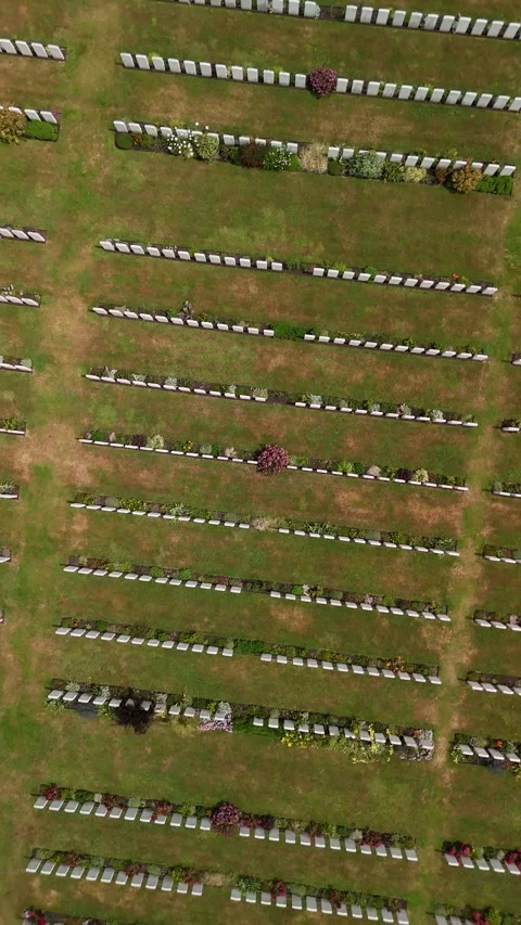 WW1 graveyard Stock Footage 313405513