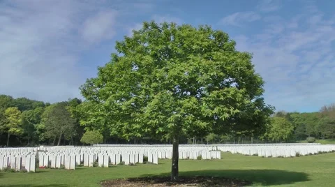WW1 world war one war cemetry graves single tree Stock Footage 60641897
