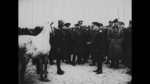 WW2 - Erich von Manstein and dictator An... | Stock Video | Pond5