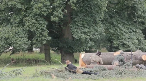WW2 Germans defend position Video stock 8539857