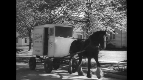 WW2 - Milk man drive with carriage in USA Stock Footage