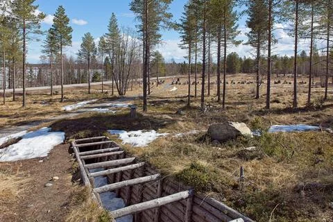 WW2 trench. Stock Photos