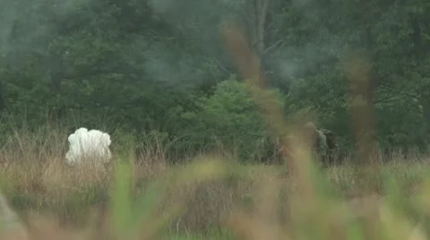 WW2 US Bazooka team under fire Stock Footage 12397133