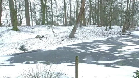 WWI battlefields : shell crater after snowfall at Hooge, Ypres, Belgium Stock Footage 102169784