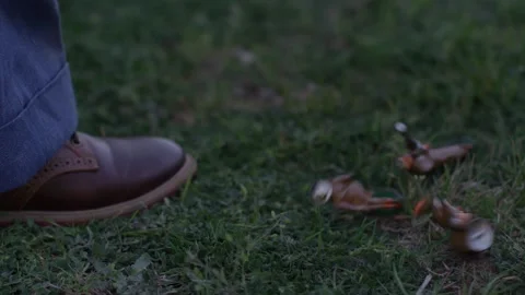 WWI toy soldiers hitting ground Stock Footage 203773053
