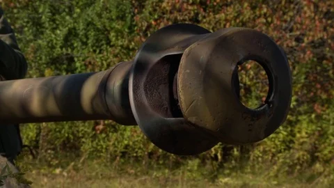 WWII German Cannon Stock Footage 82473038