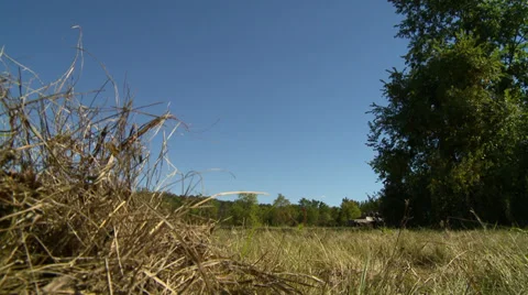WWII German Half Track low angle long shot Stock Footage 33755706