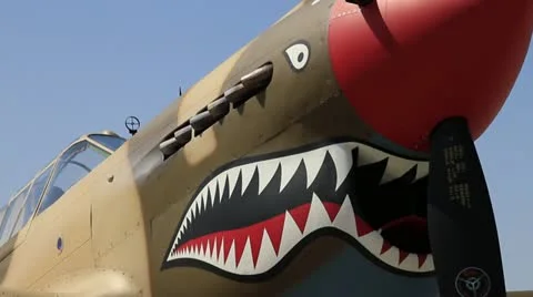 WWII P-40 Warhawk 動画素材 22343243