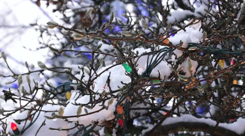 WWinter City - Christmas Park - 03 - Light Decoration Stock Footage