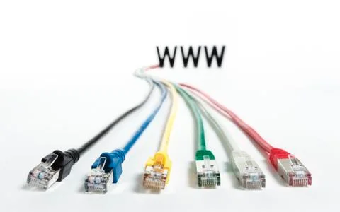 WWW with network cables. Stock Photos