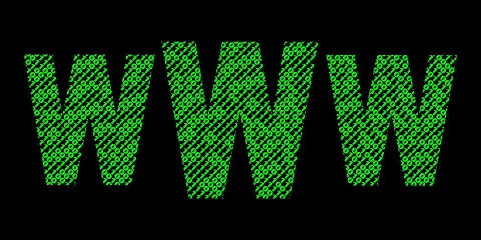Www text made of green binary code illustration Stock Illustration