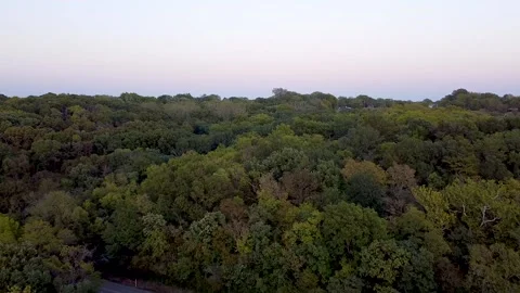 Wyandotte County Trees Video stock 162316006