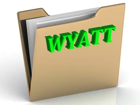 WYATT- bright green letters on gold paperwork folder on a white background Stock Illustration