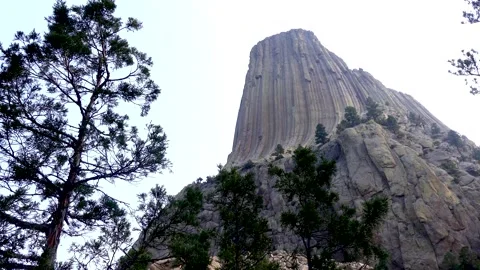 Wyoming, Devils Tower  A view of the side of Devils Tower with trees in the Stock Footage 160567016