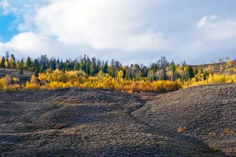 Wyoming fall Stock-Fotos