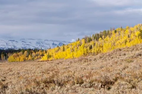 Wyoming fall Stock-Fotos