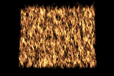 Wyoming on Fire Video stock 729497