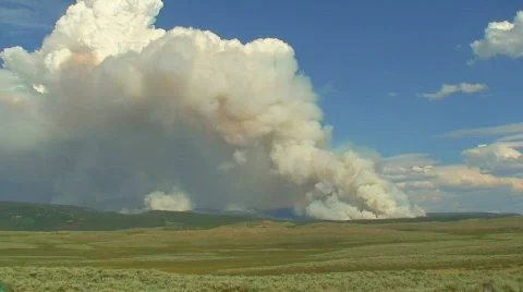Wyoming Forest Fire Stock Footage 148913